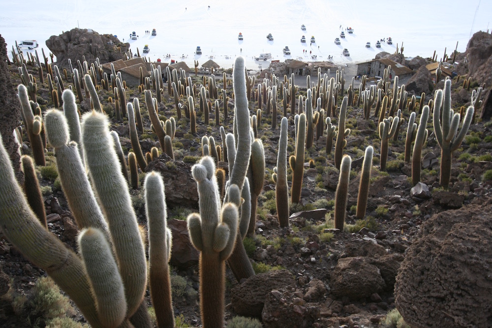 Isla Incahuasi